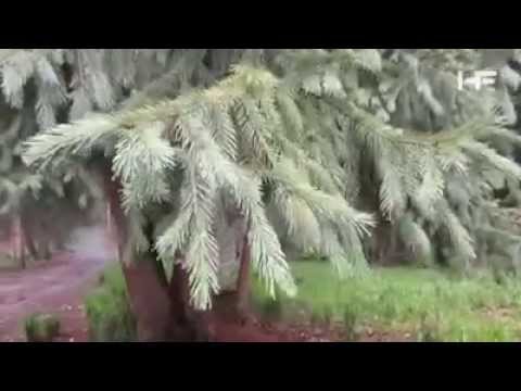 Kumrat Valley   Khyber Pakhtunkhwa, Pakistan