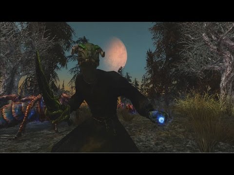 Skyrim Builds - The Whet-Fang (Gekromancer)