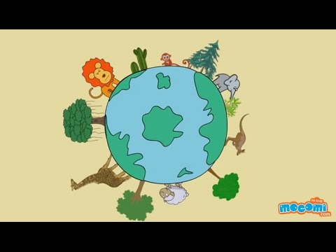 What is Biodiversity? | Mocomi Kids