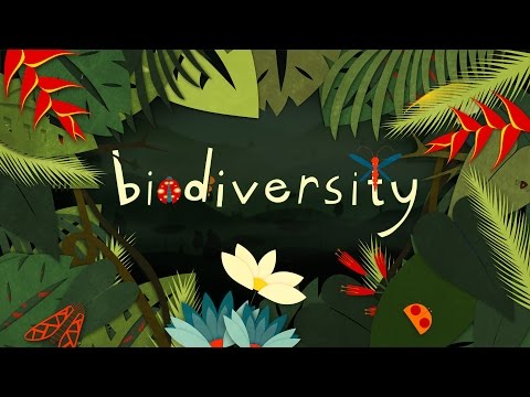 Why is biodiversity so important? - Kim Preshoff