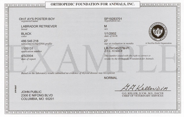 Thyroid Report Form Sample