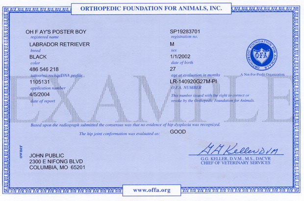 Hip Report/Certificate sample