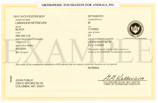 Patellar Luxation Report Form sample