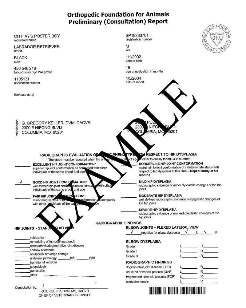 Preliminary Evaluation Report Form sample