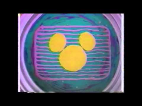 Old Disney Channel ID Montage (1980s and 1990s)