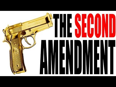 The Second Amendment Explained: The Constitution for Dummies Series