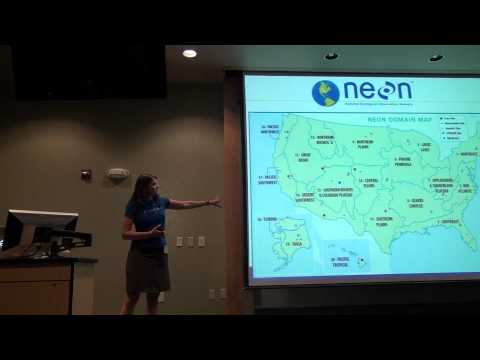 Portal to NEON: long-term to large-scale ecology (Kate Thibault)