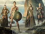 Yes, you can use the watermarked image. please link back and credit  EW.com. 

http://www.ew.com/article/2016/03/24/wonder-woman-first-look-gal-gadot-robin-wright-connie-nielsen?iid=sr-link1

Image Credit: Clay Enos/DC Comics

Jennifer Marcus
Manager, Communications
Entertainment Weekly

Wonder Woman
Posted March 24 2016 ? 9:00 AM EDT

Themyscira is a hidden island where Amazon women of Greek myth have thrived for centuries, living in harmony and free to self-govern away from the gaze of man. It?s also, of course, the birthplace of Wonder Woman, who after years of false starts, is finally a movie star. With a much heralded introduction in Batman v Superman: Dawn of Justice, Wonder Woman (Gal Gadot) is now a cornerstone in Warner Bros.? DC Comics multiverse, with a crucial role in the first Justice League movie (out November 2017), and the center of her own long-awaited film, which will hit screens next June.

Directed by Patty Jenkins (Monster), Wonder Woman will be an origin story il