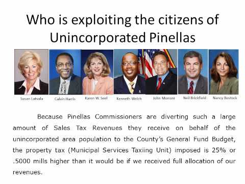 Financial Exploitation of the Citizens of Unincorporated Pinellas