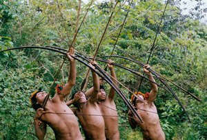 In this Nov. 2011 photo released in 2012 by Survival International, Awa Indians point their bow and arrows in Maranhao state, Brazil.