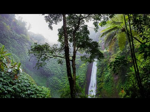 25 Wild Things About The Amazon That Make It One Of The Most Unique Places On Earth