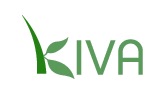 Kiva