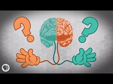 Why Are Some People Left-Handed?