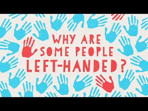 Why are some people left-handed? - Daniel M. Abrams