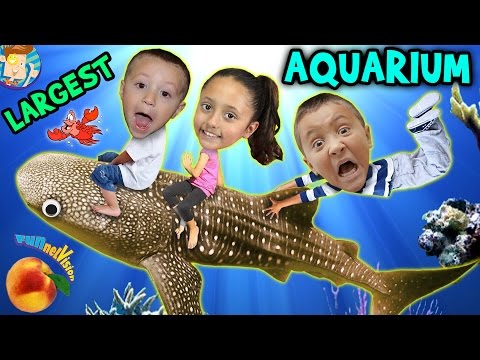 Family Trip to GEORGIA AQUARIUM (World's Largest) w/ WHALE SHARK & Dolphin Tales Show (ATL Vlog #1)