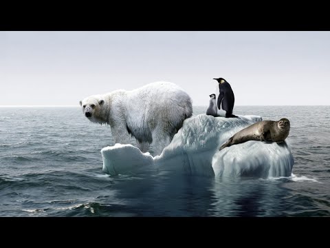 Top 10 Signs That Global Warming Is No Longer A Debate