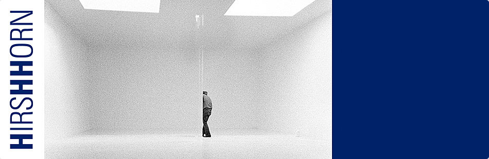 Robert Irwin exhibition