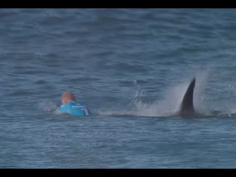 Jaw-dropping: Surfer fights off shark attack live on TV in S. African competition