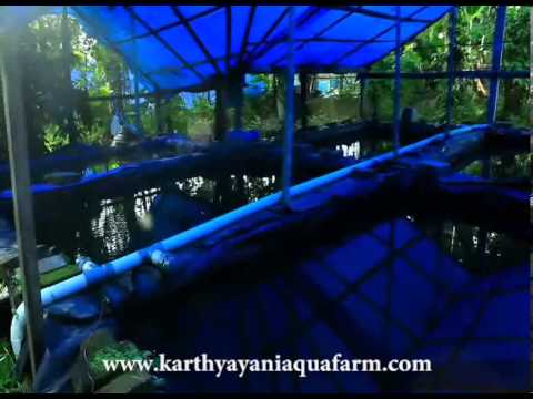 fish farm