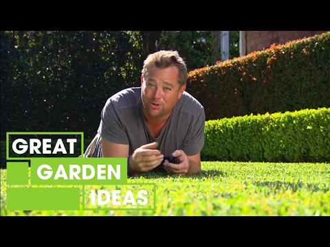 Jason's tips for the perfect green lawn