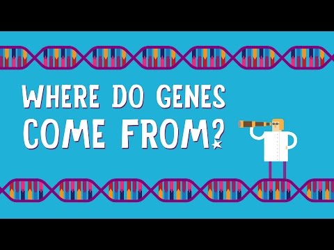 Where do genes come from? - Carl Zimmer