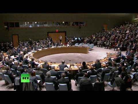 UN Security Council unanimously adopts Syrian roadmap resolution (Full video)