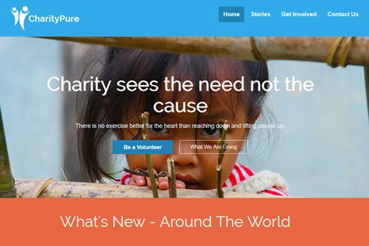 CharityPure