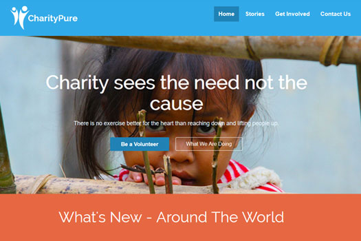 charity_pure