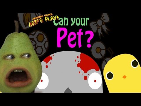 Pear is Forced to Play - Can Your Pet?