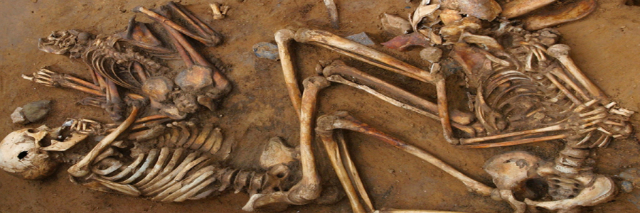 Archaeology and history in burial of skeletons and bones in grave