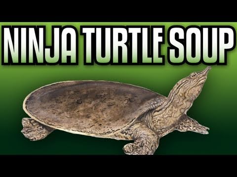 Ninja Turtle Soup - Epic Meal Time