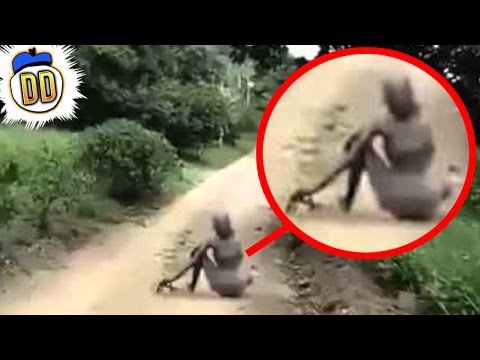 5 Unexplained Sightings Caught On Tape (ft. SlappedHam)