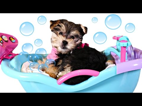 Bathtime Puppy Starring Zumi - Baby Doll Bubble Bathtub