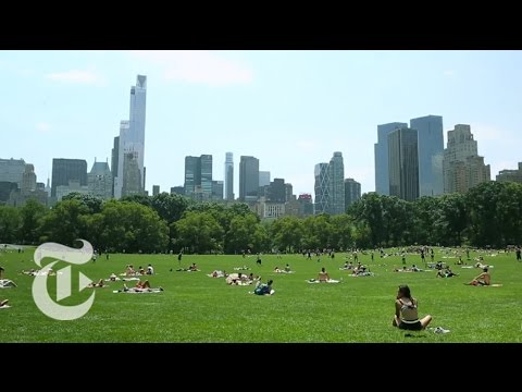 36 Hours in Central Park, New York | The New York Times