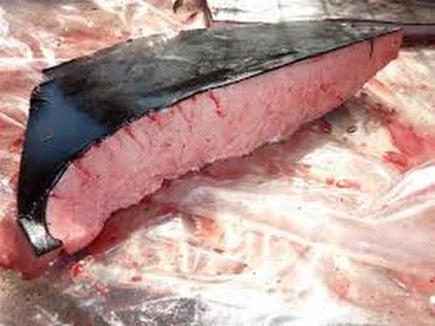 Flensing a Whale and Eating Whale Meat in Russian