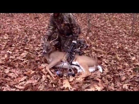 2015 WHITETAIL DEER HUNT AND BOW KILL - UPSTATE NEW YORK