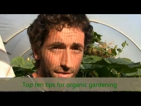 Organic Gardening - Top Ten Tips