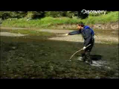 Man vs. Wild - Alaska Fishing Salmon