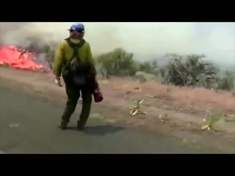 Feds Burning Cows ALIVE, Torching Homes, Imprisoning Ranchers!