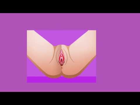 Female Sex Organs: Vagina