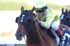 What a horse: Craig Williams riding Criterion to win the Queen Elizabeth Stakes last year.