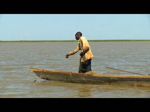 Lake Chad: Preserving a Precious Resource in the Sahel