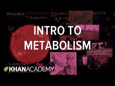 Introduction to metabolism: anabolism and catabolism | Khan Academy