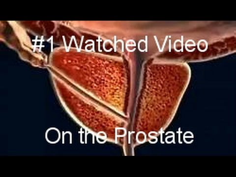 Best Prostate Video