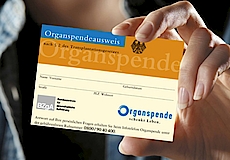 Zur Übersichtsseite: Organspende