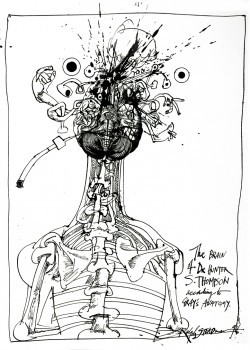 SteadmanHuntersAnatomy