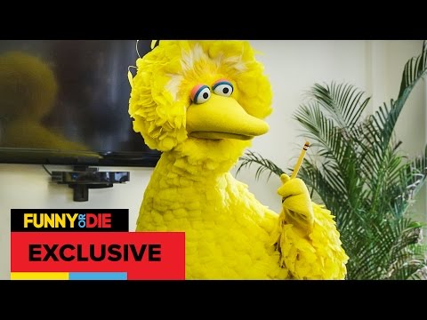 Big Bird Interns At Funny Or Die