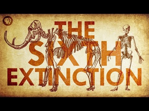 The Sixth Extinction