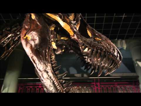 A place of discovery: The Academy of Natural Sciences of Drexel University