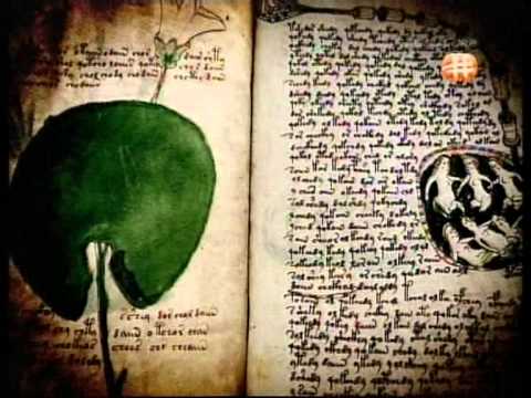 Voynich Manuscript : Mysterious book that contains many UNDECIPHERED secrets!!